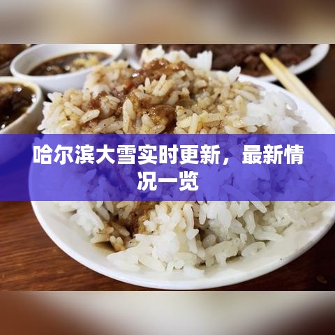 哈爾濱大雪實(shí)時(shí)更新，最新情況一覽