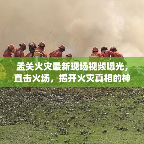 孟關(guān)火災(zāi)最新現(xiàn)場(chǎng)視頻曝光，直擊火場(chǎng)，揭開(kāi)火災(zāi)真相的神秘面紗