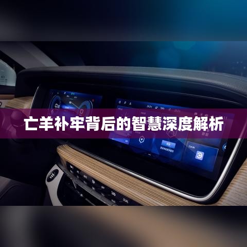 亡羊補(bǔ)牢背后的智慧深度解析