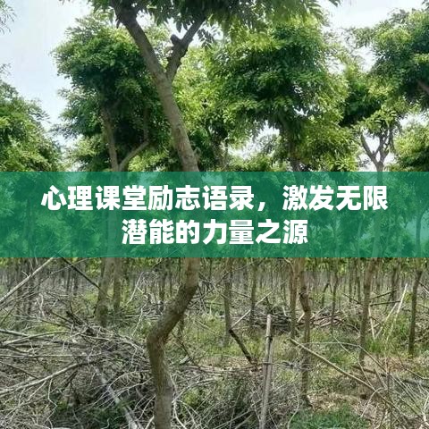 心理課堂勵(lì)志語(yǔ)錄，激發(fā)無(wú)限潛能的力量之源