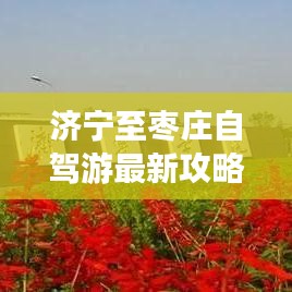 濟(jì)寧至棗莊自駕游最新攻略路線指南