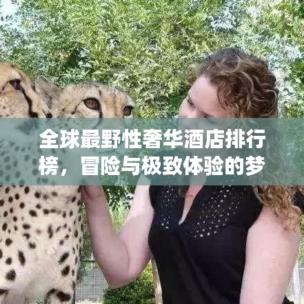 全球最野性奢華酒店排行榜，冒險(xiǎn)與極致體驗(yàn)的夢(mèng)幻之旅