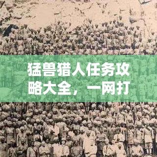 猛獸獵人任務(wù)攻略大全，一網(wǎng)打盡最新攻略！