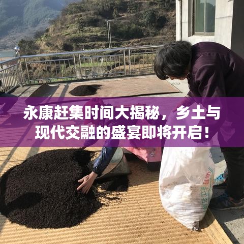 永康趕集時間大揭秘，鄉(xiāng)土與現(xiàn)代交融的盛宴即將開啟！