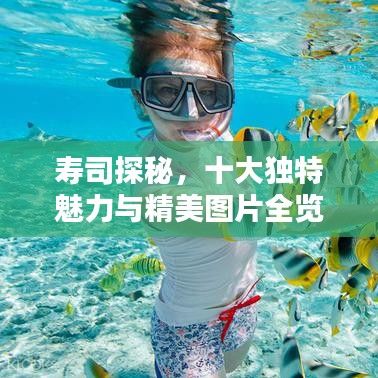 壽司探秘，十大獨(dú)特魅力與精美圖片全覽