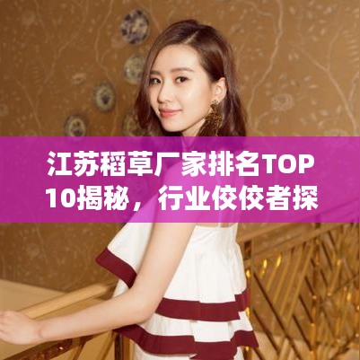 江蘇稻草廠家排名TOP10揭秘，行業(yè)佼佼者探尋