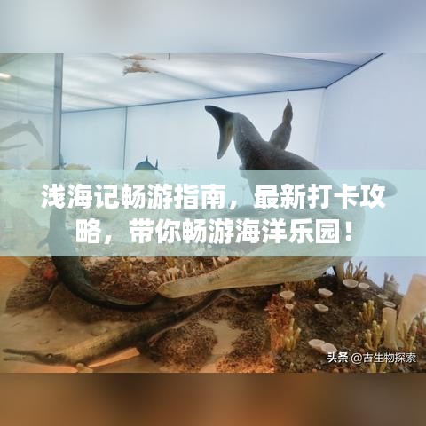 淺海記暢游指南，最新打卡攻略，帶你暢游海洋樂(lè)園！