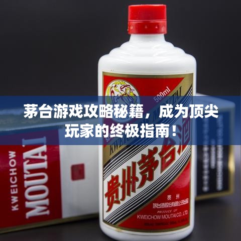 茅臺游戲攻略秘籍，成為頂尖玩家的終極指南！
