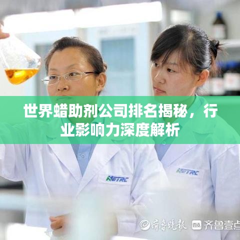 世界蠟助劑公司排名揭秘，行業(yè)影響力深度解析
