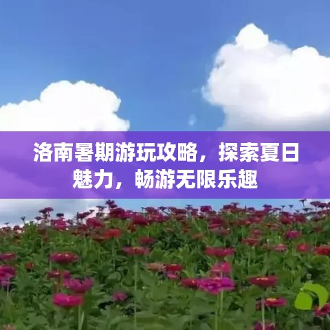 洛南暑期游玩攻略，探索夏日魅力，暢游無限樂趣