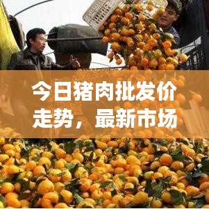 今日豬肉批發(fā)價走勢，最新市場分析與預測