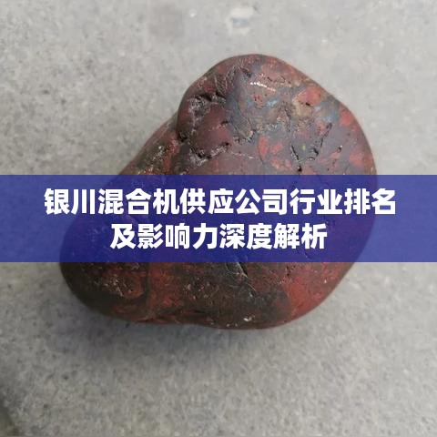 銀川混合機(jī)供應(yīng)公司行業(yè)排名及影響力深度解析