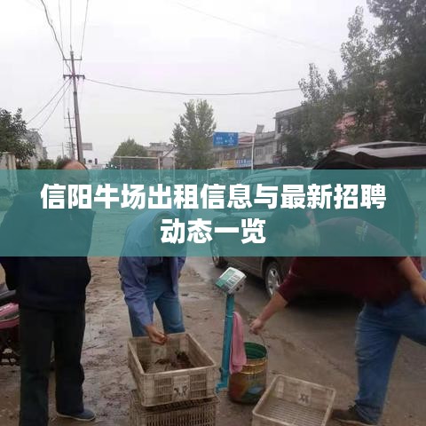 信陽牛場出租信息與最新招聘動態(tài)一覽