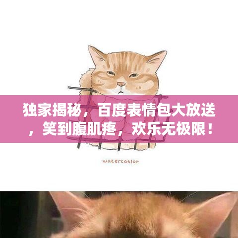 獨(dú)家揭秘，百度表情包大放送，笑到腹肌疼，歡樂(lè)無(wú)極限！