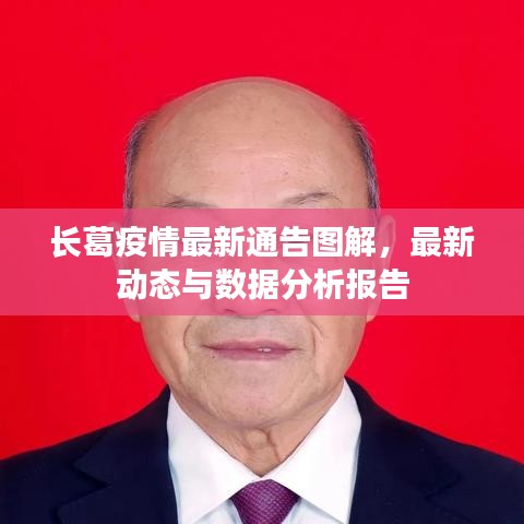 長葛疫情最新通告圖解，最新動態(tài)與數(shù)據(jù)分析報告