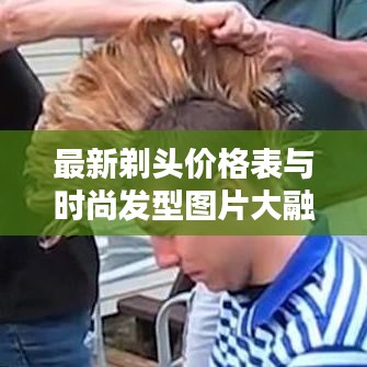 最新剃頭價格表與時尚發(fā)型圖片大融合，打造個性魅力發(fā)型！
