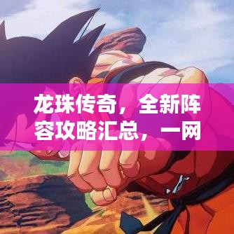 龍珠傳奇，全新陣容攻略匯總，一網(wǎng)打盡！