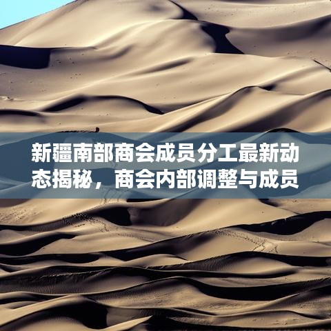 新疆南部商會(huì)成員分工最新動(dòng)態(tài)揭秘，商會(huì)內(nèi)部調(diào)整與成員職責(zé)分工一覽