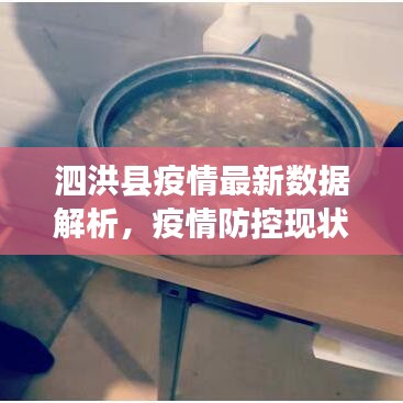 泗洪縣疫情最新數(shù)據(jù)解析，疫情防控現(xiàn)狀全面觀察