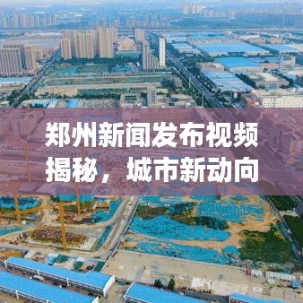 鄭州新聞發(fā)布視頻揭秘，城市新動(dòng)向深度解讀