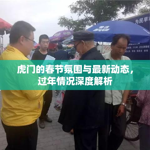 虎門的春節(jié)氛圍與最新動(dòng)態(tài)，過年情況深度解析