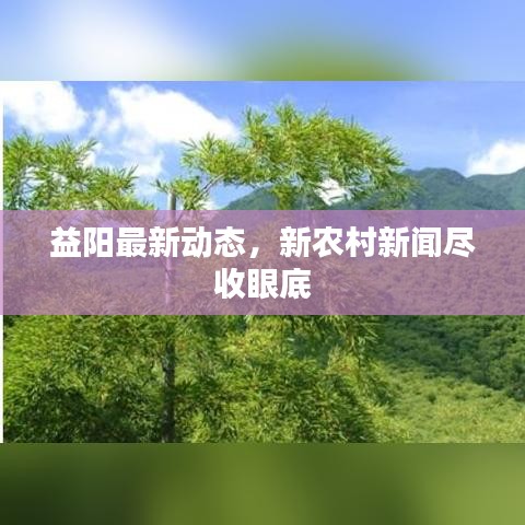 益陽(yáng)最新動(dòng)態(tài)，新農(nóng)村新聞盡收眼底