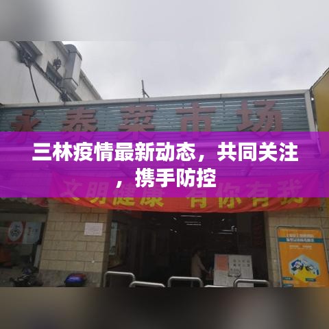 三林疫情最新動(dòng)態(tài)，共同關(guān)注，攜手防控
