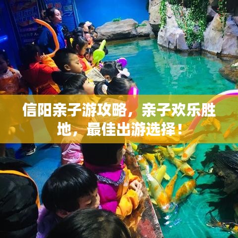 信陽親子游攻略，親子歡樂勝地，最佳出游選擇！