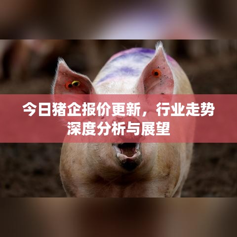 今日豬企報價更新，行業(yè)走勢深度分析與展望