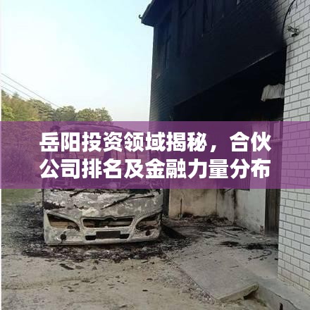 岳陽投資領(lǐng)域揭秘，合伙公司排名及金融力量分布解析