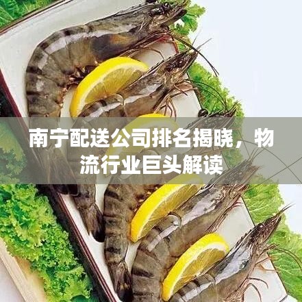 南寧配送公司排名揭曉，物流行業(yè)巨頭解讀