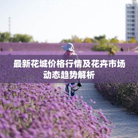 最新花城價格行情及花卉市場動態(tài)趨勢解析