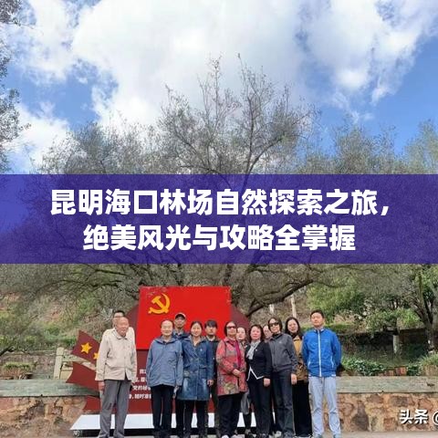 昆明海口林場自然探索之旅，絕美風光與攻略全掌握