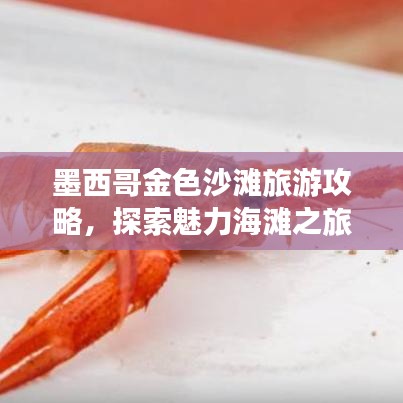 墨西哥金色沙灘旅游攻略，探索魅力海灘之旅