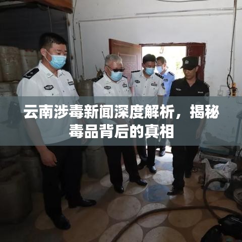 云南涉毒新聞深度解析，揭秘毒品背后的真相
