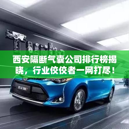 西安隔斷氣囊公司排行榜揭曉，行業(yè)佼佼者一網(wǎng)打盡！