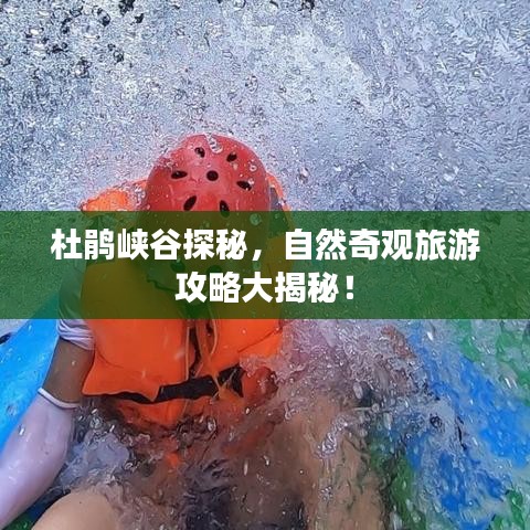 杜鵑峽谷探秘，自然奇觀旅游攻略大揭秘！