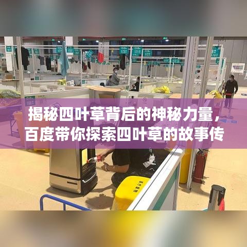 揭秘四葉草背后的神秘力量，百度帶你探索四葉草的故事傳奇