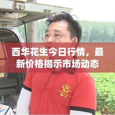 西華花生今日行情，最新價格揭示市場動態(tài)，洞悉行業(yè)趨勢！