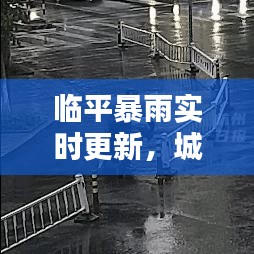 臨平暴雨實時更新，城市與居民生活受天氣影響嚴重