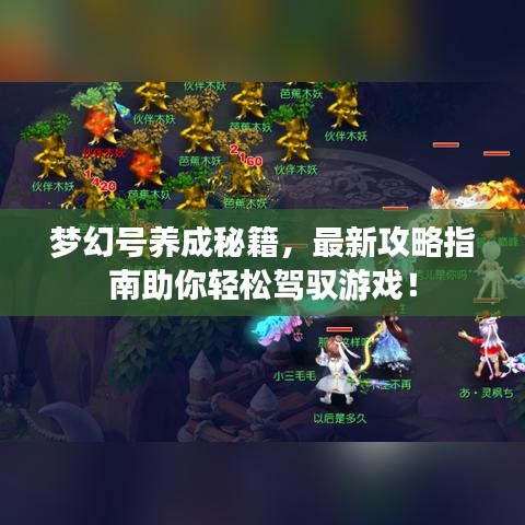 夢幻號養(yǎng)成秘籍，最新攻略指南助你輕松駕馭游戲！