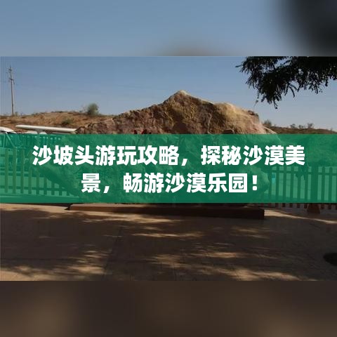 沙坡頭游玩攻略，探秘沙漠美景，暢游沙漠樂(lè)園！
