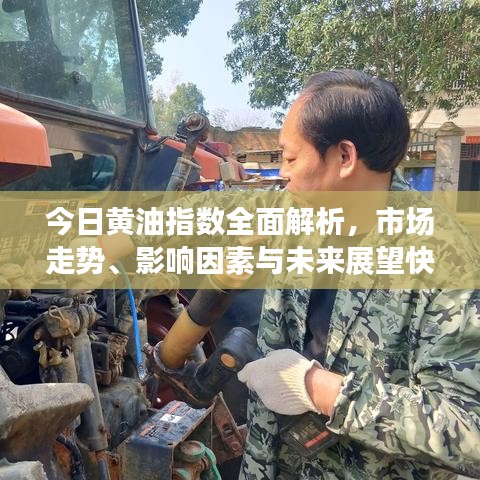 今日黃油指數(shù)全面解析，市場走勢、影響因素與未來展望快速查詢