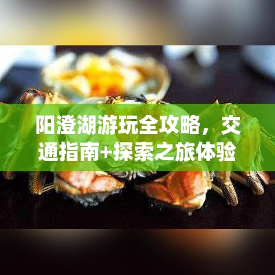 陽澄湖游玩全攻略，交通指南+探索之旅體驗(yàn)分享
