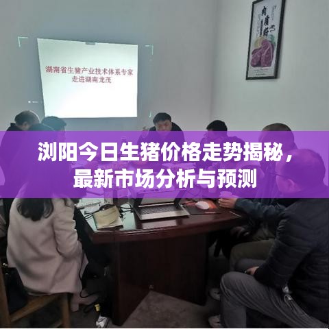 瀏陽(yáng)今日生豬價(jià)格走勢(shì)揭秘，最新市場(chǎng)分析與預(yù)測(cè)