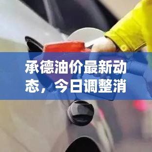 承德油價最新動態(tài)，今日調(diào)整消息及市場趨勢深度解析