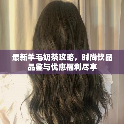 最新羊毛奶茶攻略，時(shí)尚飲品品鑒與優(yōu)惠福利盡享