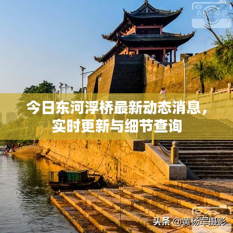 今日東河浮橋最新動態(tài)消息，實時更新與細節(jié)查詢