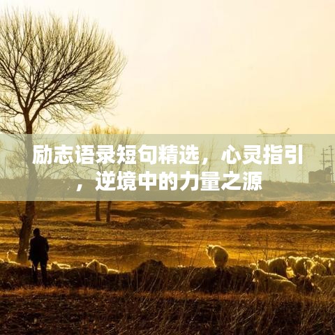 勵志語錄短句精選，心靈指引，逆境中的力量之源