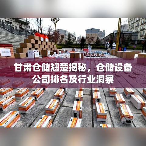 甘肅倉儲翹楚揭秘，倉儲設備公司排名及行業(yè)洞察